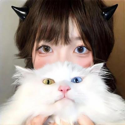 沙漠活宝 在线观看